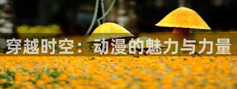 78动漫手机版：穿越时空：动漫的魅力与力量