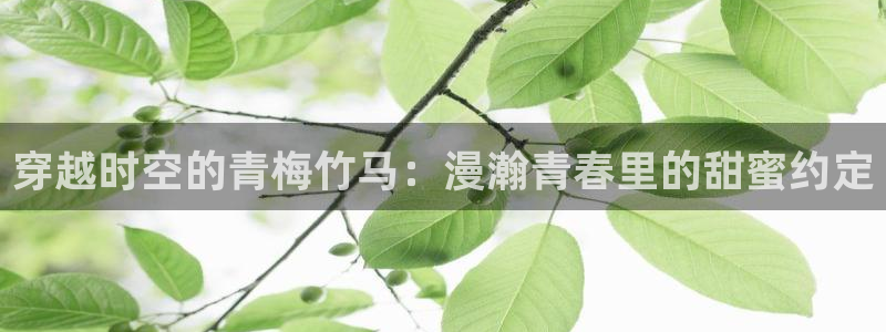 78动漫是啥：穿越时空的青梅竹马：漫瀚青春里的甜蜜约定