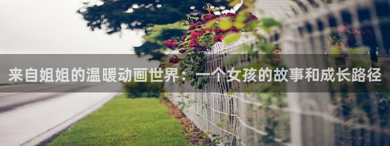 78动漫免费：来自姐姐的温暖动画世界：一个女孩的故事和成长路径