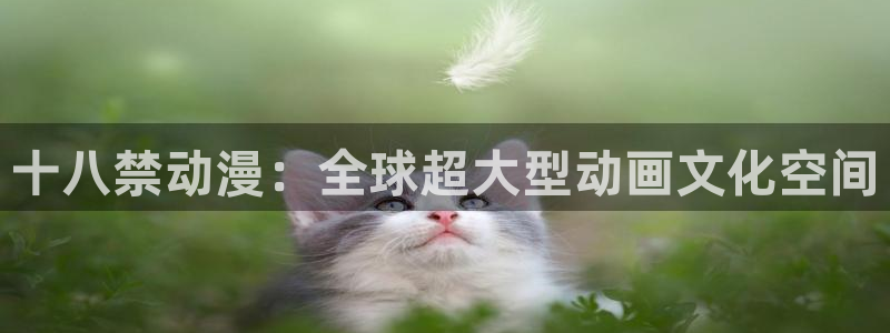 78动漫官方下载入口：十八禁动漫：全球超大型动画文化空间